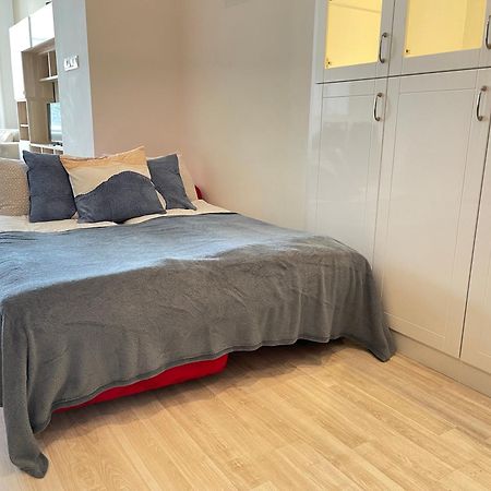 Spacious Riverside Residency - Magnificent View 布达佩斯 外观 照片
